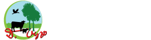 site logo