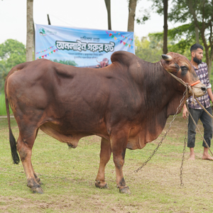 ট্যাগ নং-190, শাহীওয়াল